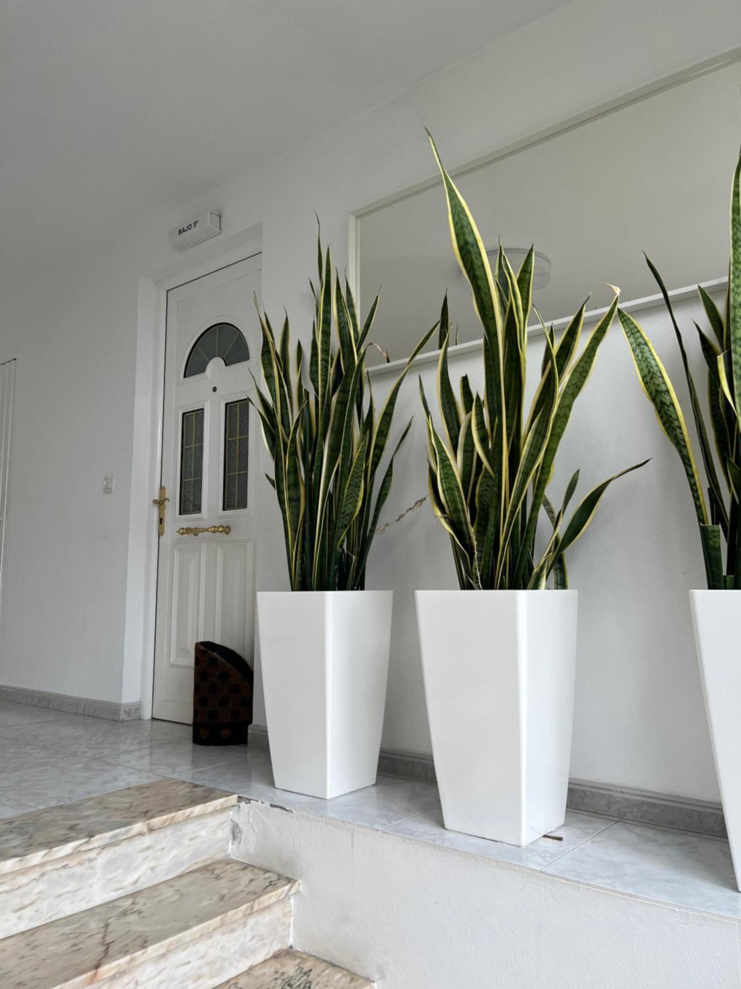 Apartamento En Sardineiro, Finisterre B5 Exterior foto